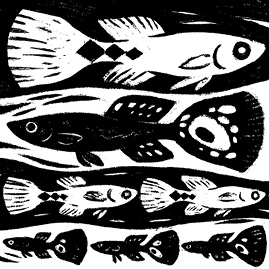 Иллюстрация к книге — Перспективы отбора [i_033.jpg]