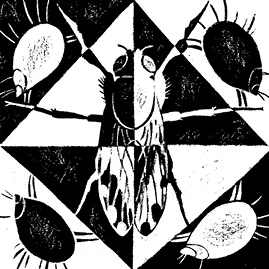 Иллюстрация к книге — Перспективы отбора [i_049.jpg]