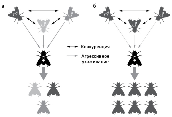 Иллюстрация к книге — Перспективы отбора [i_051.jpg]