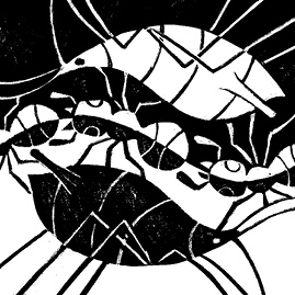 Иллюстрация к книге — Перспективы отбора [i_074.jpg]