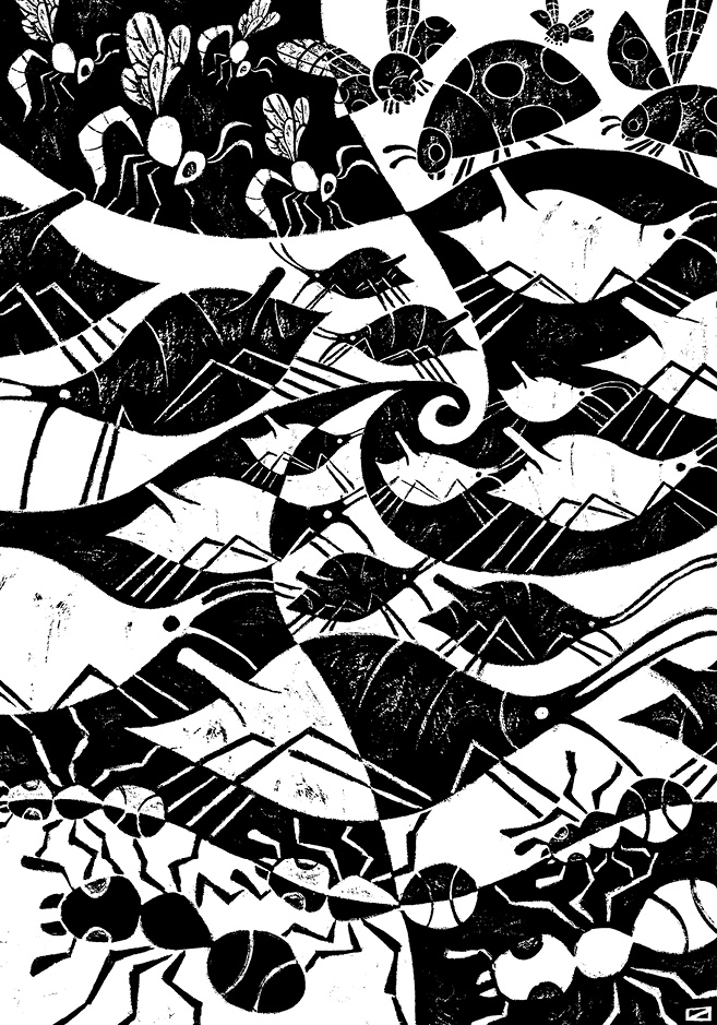 Иллюстрация к книге — Перспективы отбора [i_076.jpg]