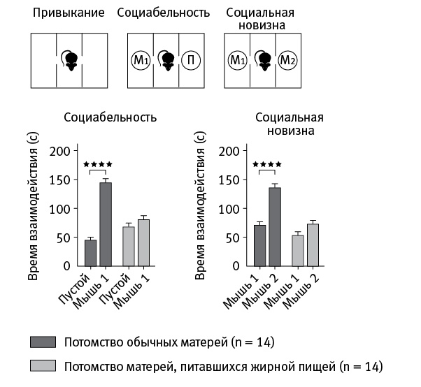 Иллюстрация к книге — Перспективы отбора [i_083.jpg]