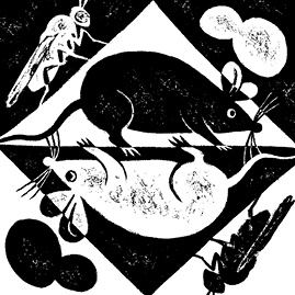 Иллюстрация к книге — Перспективы отбора [i_084.jpg]