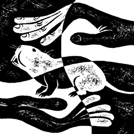 Иллюстрация к книге — Перспективы отбора [i_087.jpg]