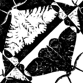 Иллюстрация к книге — Перспективы отбора [i_091.jpg]