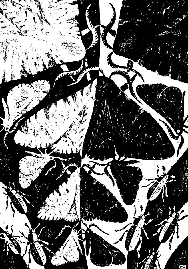 Иллюстрация к книге — Перспективы отбора [i_093.jpg]