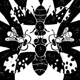 Иллюстрация к книге — Перспективы отбора [i_114.jpg]