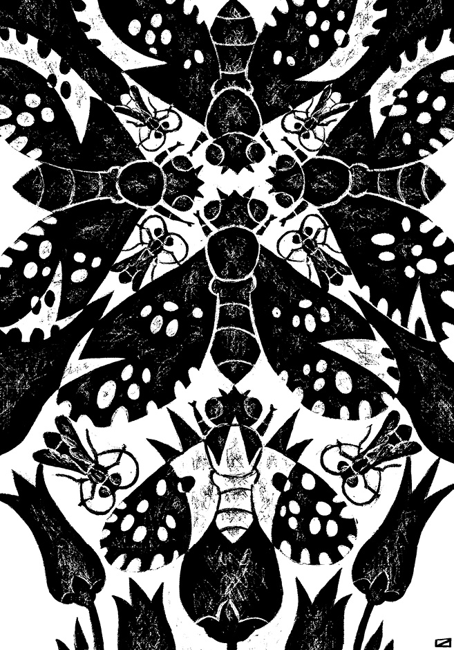 Иллюстрация к книге — Перспективы отбора [i_116.jpg]