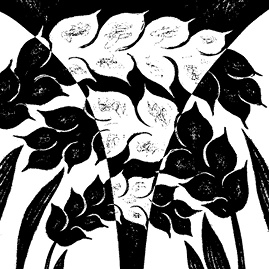 Иллюстрация к книге — Перспективы отбора [i_117.jpg]