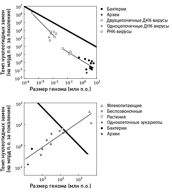 Иллюстрация к книге — Перспективы отбора [i_125.jpg]