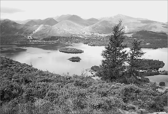 Иллюстрация к книге — Великобритания. Страна замков, дворцов и парков  [ch415.jpg]