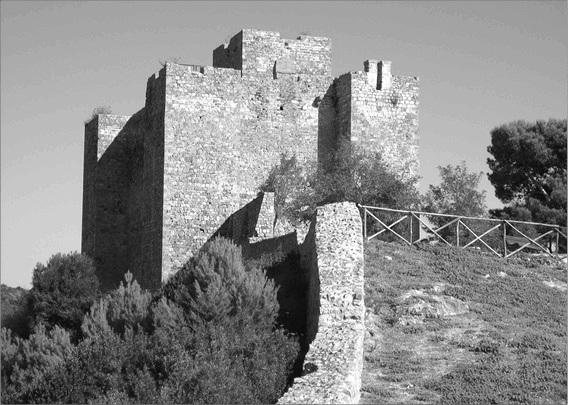 Иллюстрация к книге — Флоренция и Тоскана. Флорентийcкая мозаика Италии [_057.jpg]