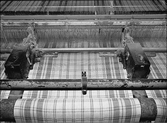 Иллюстрация к книге — Костромская земля. Природа. История. Экономика. Культура. Достопримечательности. Религиозные центры [_019.jpg]