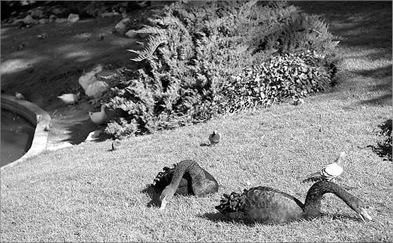 Иллюстрация к книге — Мадрид. Город солнца [_043.jpg]