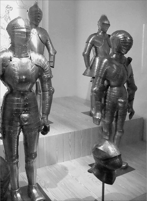 Иллюстрация к книге — Франция. Страна королей и пяти республик  [_068.jpg]