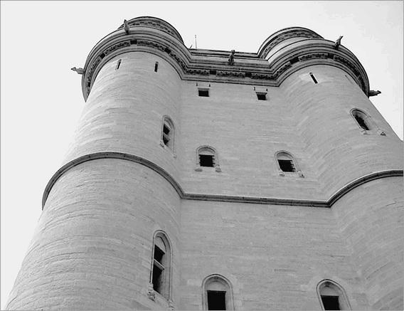 Иллюстрация к книге — Франция. Страна королей и пяти республик  [_079.jpg]