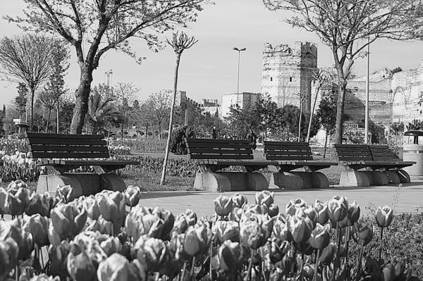 Иллюстрация к книге — Стамбул. Новый Вавилон на берегах Босфора  [_62.jpg]