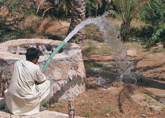 Иллюстрация к книге — Дубай. Волшебный сон, ставший явью [d_014.jpg]