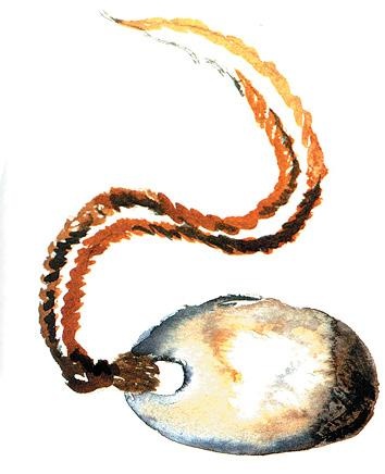 Иллюстрация к книге — Дубай. Волшебный сон, ставший явью [d_094.jpg]