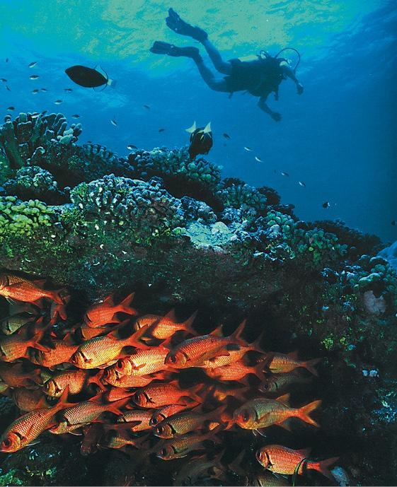 Иллюстрация к книге — Дубай. Волшебный сон, ставший явью [d_132.jpg]