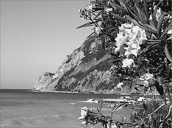 Иллюстрация к книге — Лазурный берег. Ривьеры Франции, Монако и Италии  [_122311.jpg]