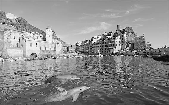 Иллюстрация к книге — Лазурный берег. Ривьеры Франции, Монако и Италии  [ddvwvvvv.jpg]