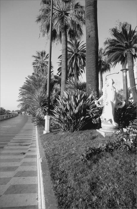 Иллюстрация к книге — Лазурный берег. Ривьеры Франции, Монако и Италии  [dxzzzcw.jpg]