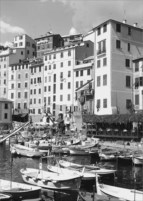 Иллюстрация к книге — Лазурный берег. Ривьеры Франции, Монако и Италии  [vdq.jpg]