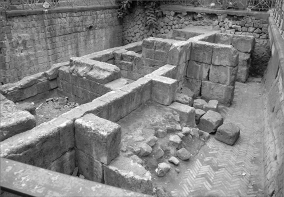 Иллюстрация к книге — Неаполитанская Ривьера. Неаполь. Капри. Искья. Прочида  [_037.jpg]