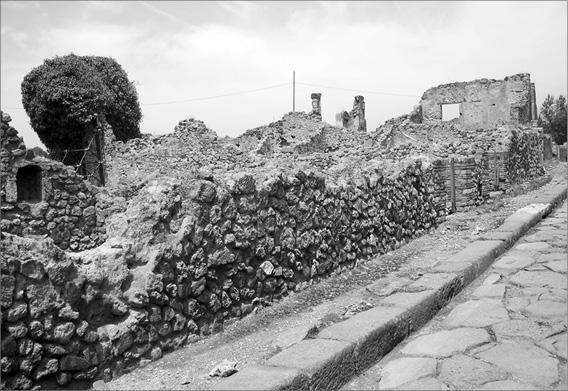 Иллюстрация к книге — Неаполитанская Ривьера. Неаполь. Капри. Искья. Прочида  [_056.jpg]