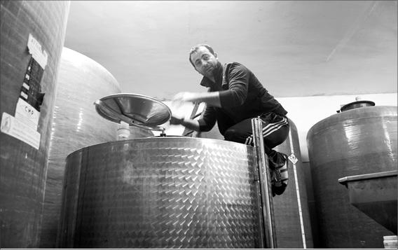 Иллюстрация к книге — Неаполитанская Ривьера. Неаполь. Капри. Искья. Прочида  [_059.jpg]