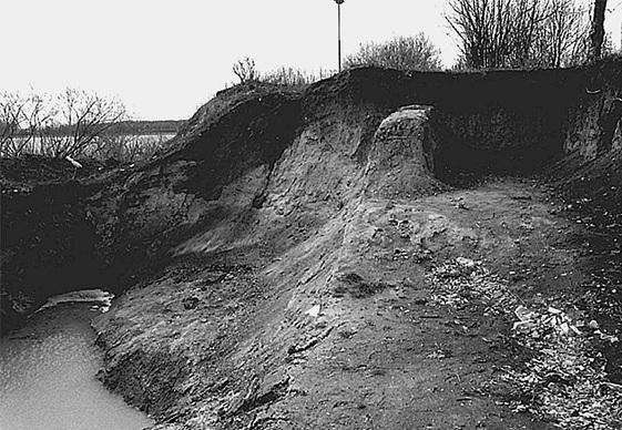 Иллюстрация к книге — Новгородская земля. Природа. Люди. История. Хозяйство [_071.jpg]