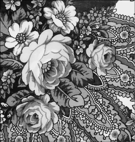 Иллюстрация к книге — Подмосковье. Природа. История. Экономика. Культура. Достопримечательности. Религиозные центры  [_0574444.jpg]