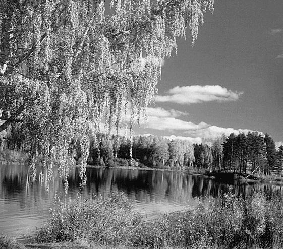 Иллюстрация к книге — От Москвы до Твери. Речное путешествие  [_074.jpg]