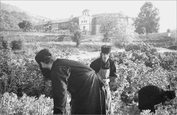 Иллюстрация к книге — Святой Афон. Удел Богородицы  [_109.jpg]