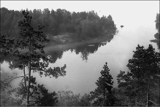 Иллюстрация к книге — Пригороды Санкт-Петербурга. От Петергофа до Гатчины  [_111.jpg]