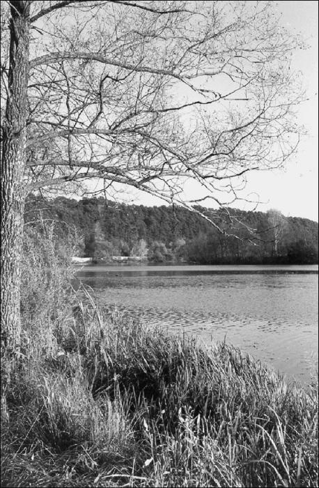 Иллюстрация к книге — Усадьбы Подмосковья. История. Владельцы. Жители. Архитектура  [_030.jpg]