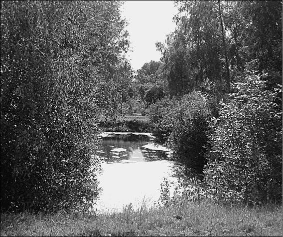 Иллюстрация к книге — Ярославская земля. Природа. История. Экономика. Культура. Достопримечательности. Религиозные центры  [_002.jpg]