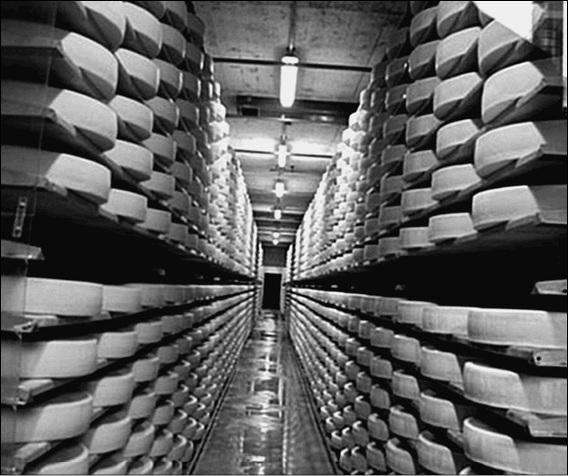 Иллюстрация к книге — Ярославская земля. Природа. История. Экономика. Культура. Достопримечательности. Религиозные центры  [_006.jpg]