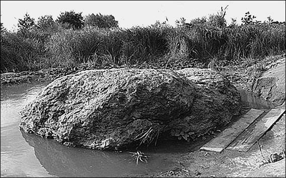 Иллюстрация к книге — Ярославская земля. Природа. История. Экономика. Культура. Достопримечательности. Религиозные центры  [_099.jpg]