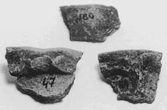 Иллюстрация к книге — Кавказские минеральные воды  [_003.jpg]