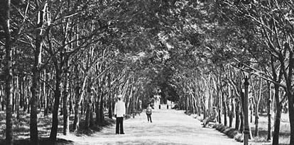 Иллюстрация к книге — Кавказские минеральные воды  [_117.jpg]