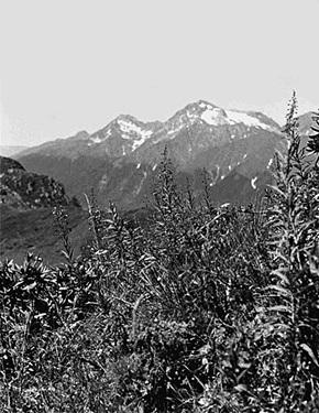 Иллюстрация к книге — Краснодарский край. Путешествие за здоровьем [_58.jpg]