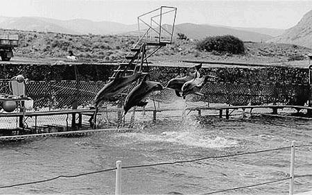 Иллюстрация к книге — Краснодарский край. Путешествие за здоровьем [_61.jpg]