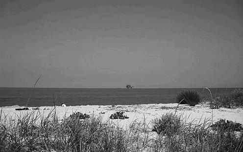 Иллюстрация к книге — Краснодарский край. Путешествие за здоровьем [_72.jpg]