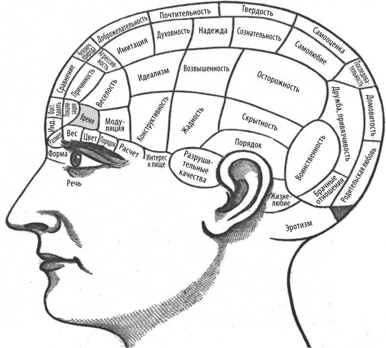 Иллюстрация к книге — Мозг – повелитель времени [i_002.jpg]