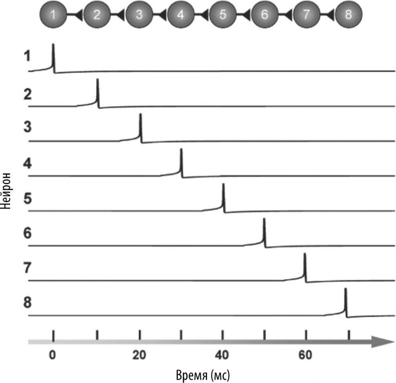 Иллюстрация к книге — Мозг – повелитель времени [i_012.jpg]
