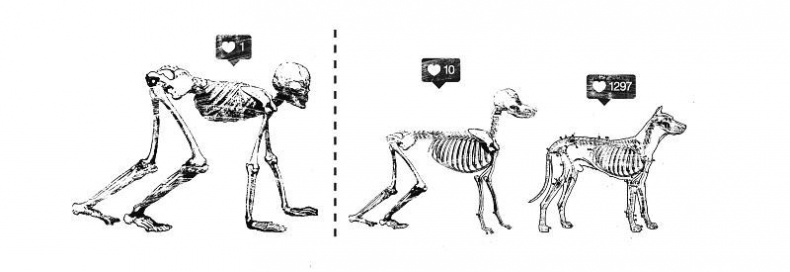 Иллюстрация к книге — #КИЕВВКИЕВЕ [i_013.jpg]