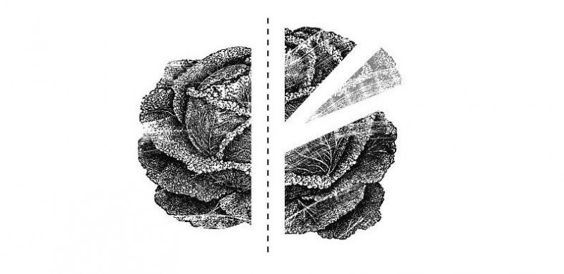 Иллюстрация к книге — #КИЕВВКИЕВЕ [i_029.jpg]