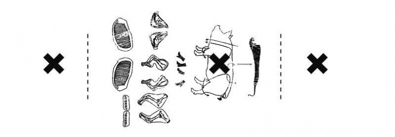 Иллюстрация к книге — #КИЕВВКИЕВЕ [i_041.jpg]